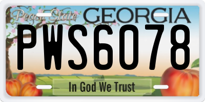 GA license plate PWS6078