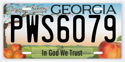 GA license plate PWS6079