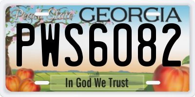 GA license plate PWS6082