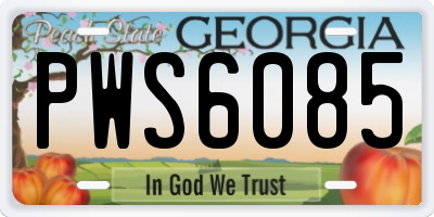 GA license plate PWS6085