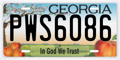 GA license plate PWS6086