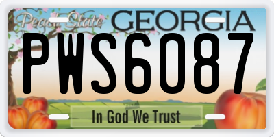 GA license plate PWS6087
