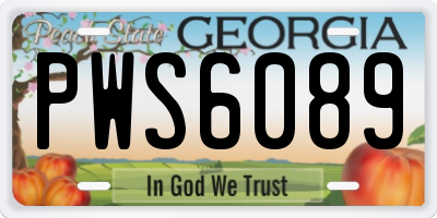 GA license plate PWS6089