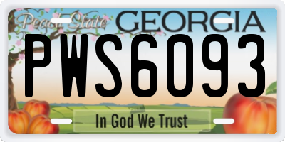 GA license plate PWS6093