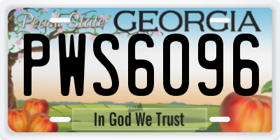 GA license plate PWS6096