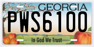 GA license plate PWS6100