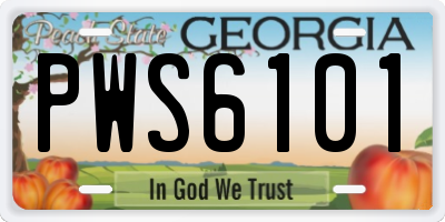 GA license plate PWS6101