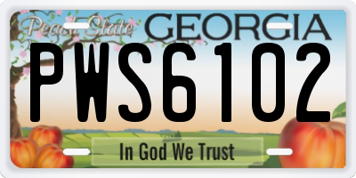 GA license plate PWS6102