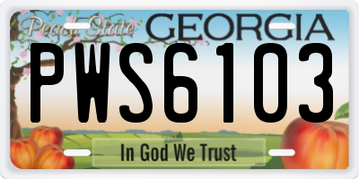 GA license plate PWS6103