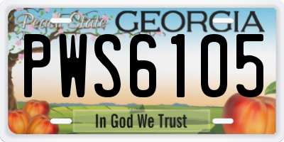 GA license plate PWS6105