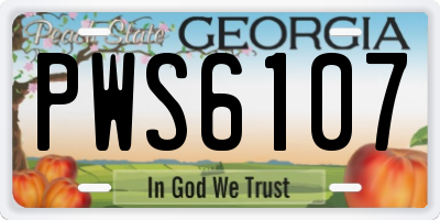 GA license plate PWS6107