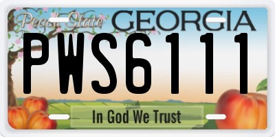 GA license plate PWS6111