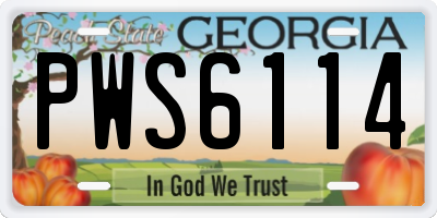 GA license plate PWS6114