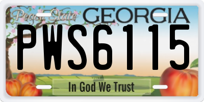 GA license plate PWS6115