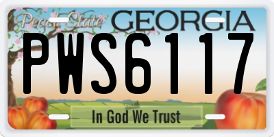 GA license plate PWS6117
