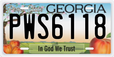 GA license plate PWS6118