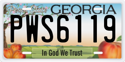 GA license plate PWS6119