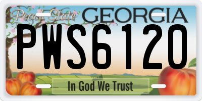 GA license plate PWS6120