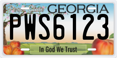GA license plate PWS6123