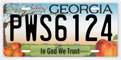 GA license plate PWS6124