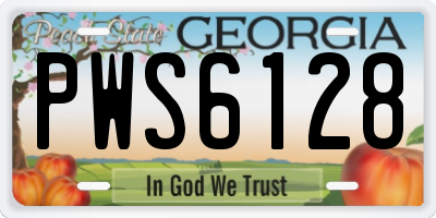 GA license plate PWS6128