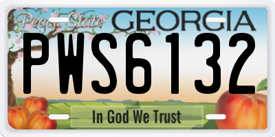 GA license plate PWS6132