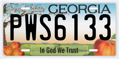 GA license plate PWS6133