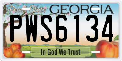 GA license plate PWS6134