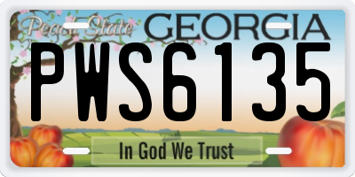 GA license plate PWS6135