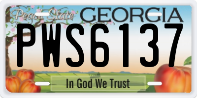 GA license plate PWS6137