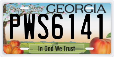 GA license plate PWS6141