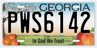 GA license plate PWS6142