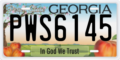 GA license plate PWS6145
