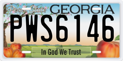 GA license plate PWS6146