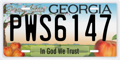 GA license plate PWS6147