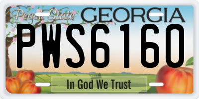GA license plate PWS6160