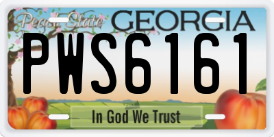GA license plate PWS6161
