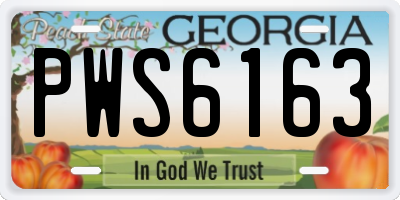 GA license plate PWS6163