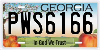 GA license plate PWS6166