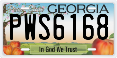 GA license plate PWS6168