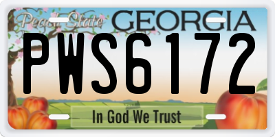 GA license plate PWS6172