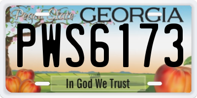 GA license plate PWS6173