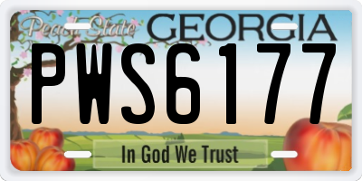 GA license plate PWS6177