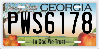 GA license plate PWS6178