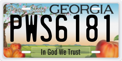 GA license plate PWS6181