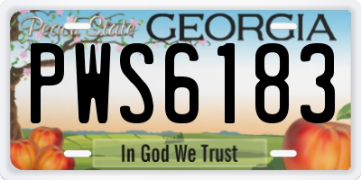 GA license plate PWS6183