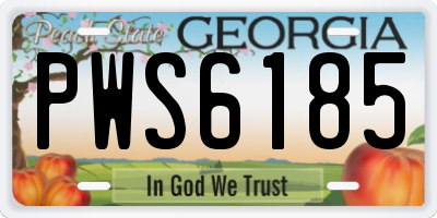 GA license plate PWS6185