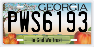 GA license plate PWS6193