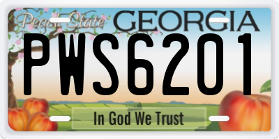 GA license plate PWS6201