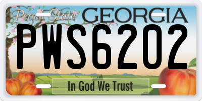 GA license plate PWS6202